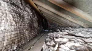 Walls Insulated and fix with retention netting.